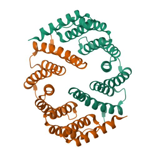 Ribbon model of the 4Y6W assembly, with two chains in orange and green